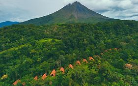 Amor Arenal Adults Friendly